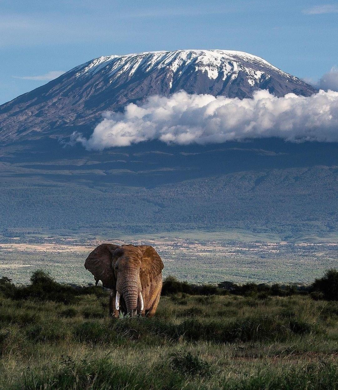 Amboseli