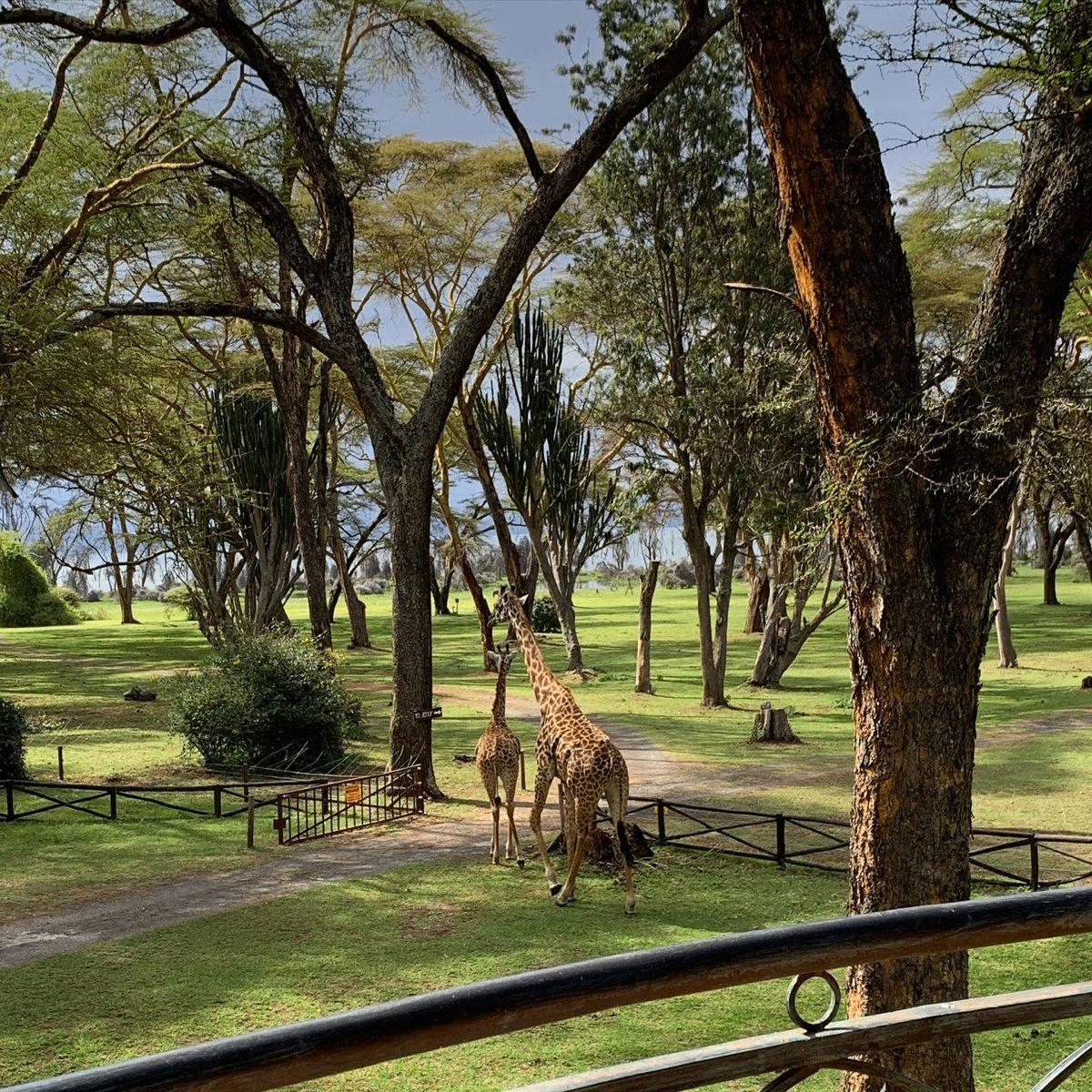 Naivasha